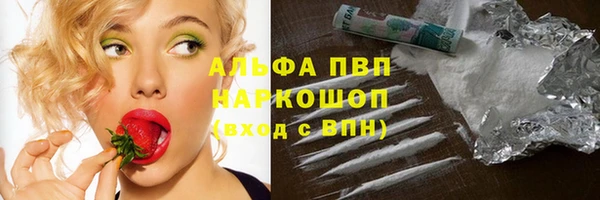 тгк Новокубанск