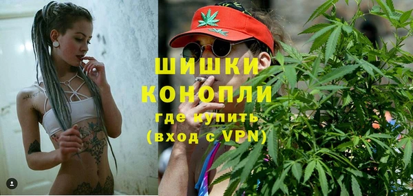 эйфоретик Новодвинск